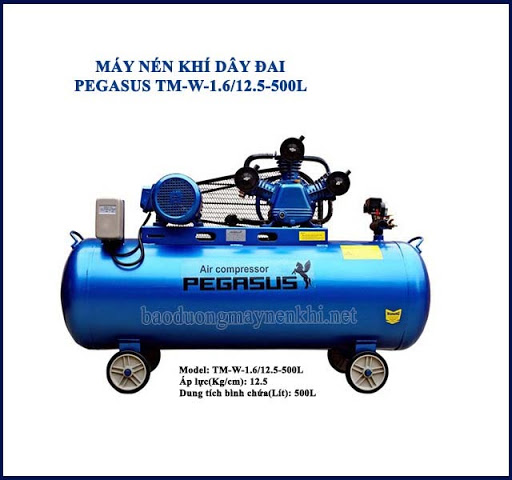 Pegasus TM-W-16125-500L