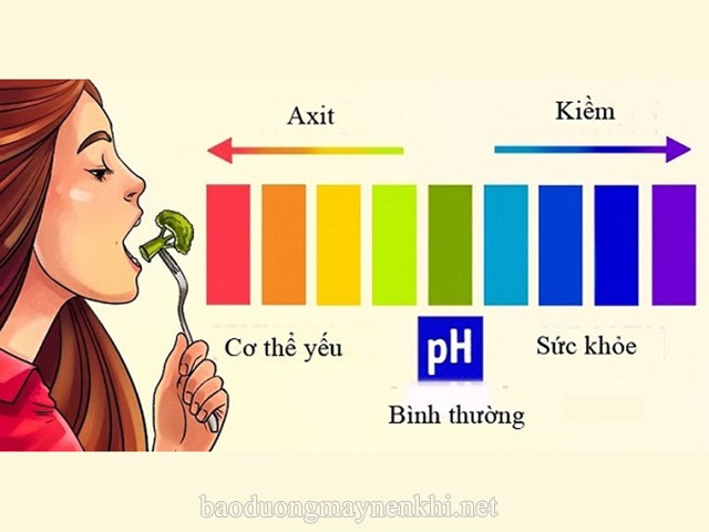 Độ pH bình thường của máu người