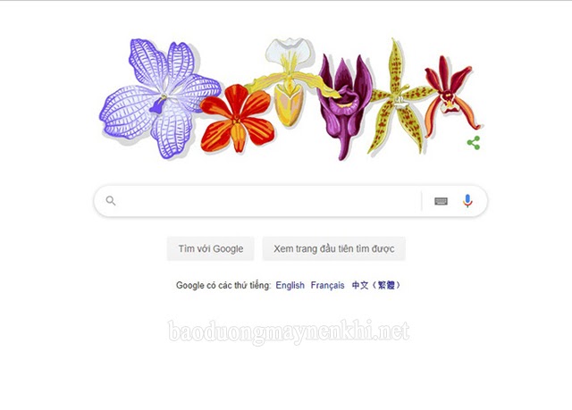 Giáo sư Rapee Sagarik được Google Doodle vinh danh