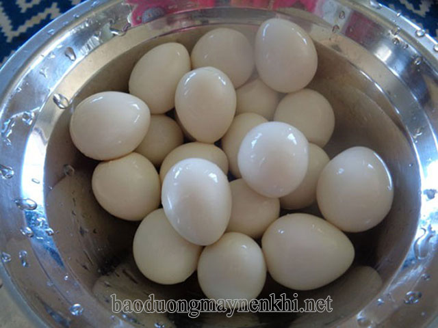 Trứng cút bóc vỏ rửa sạch