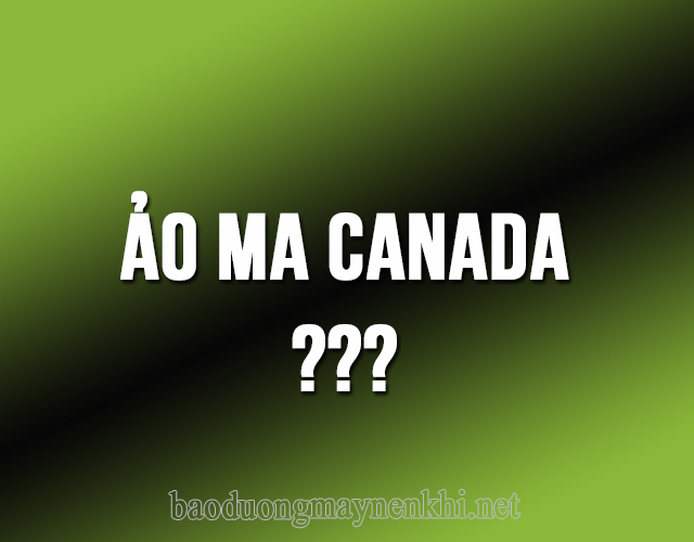 Con ma Canada là gì?  Ý nghĩa thực sự của ngôn ngữ xu hướng của Tướng Z