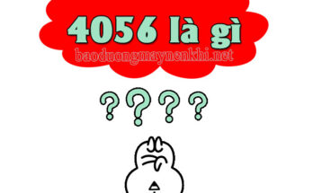 4056 là gì?