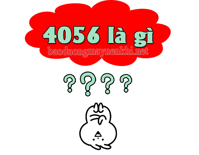 4056 là gì?